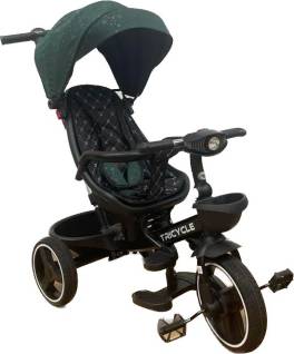 Tricicleta cu pozitie de somn, scaun reversibil, 8-36 luni cu 2 cosulete, culoare verde