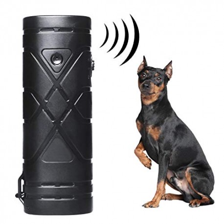 Aparat ultrasunete caini