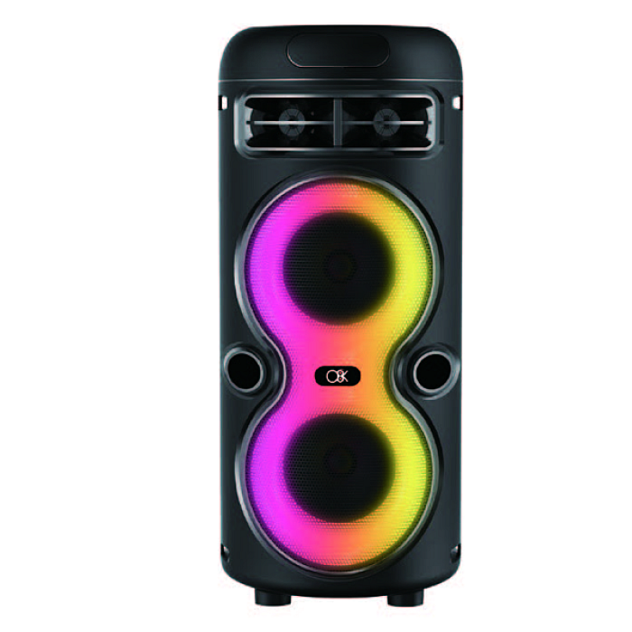 Boxă portabilă bt 2446 cu microfon și difuzoare 4